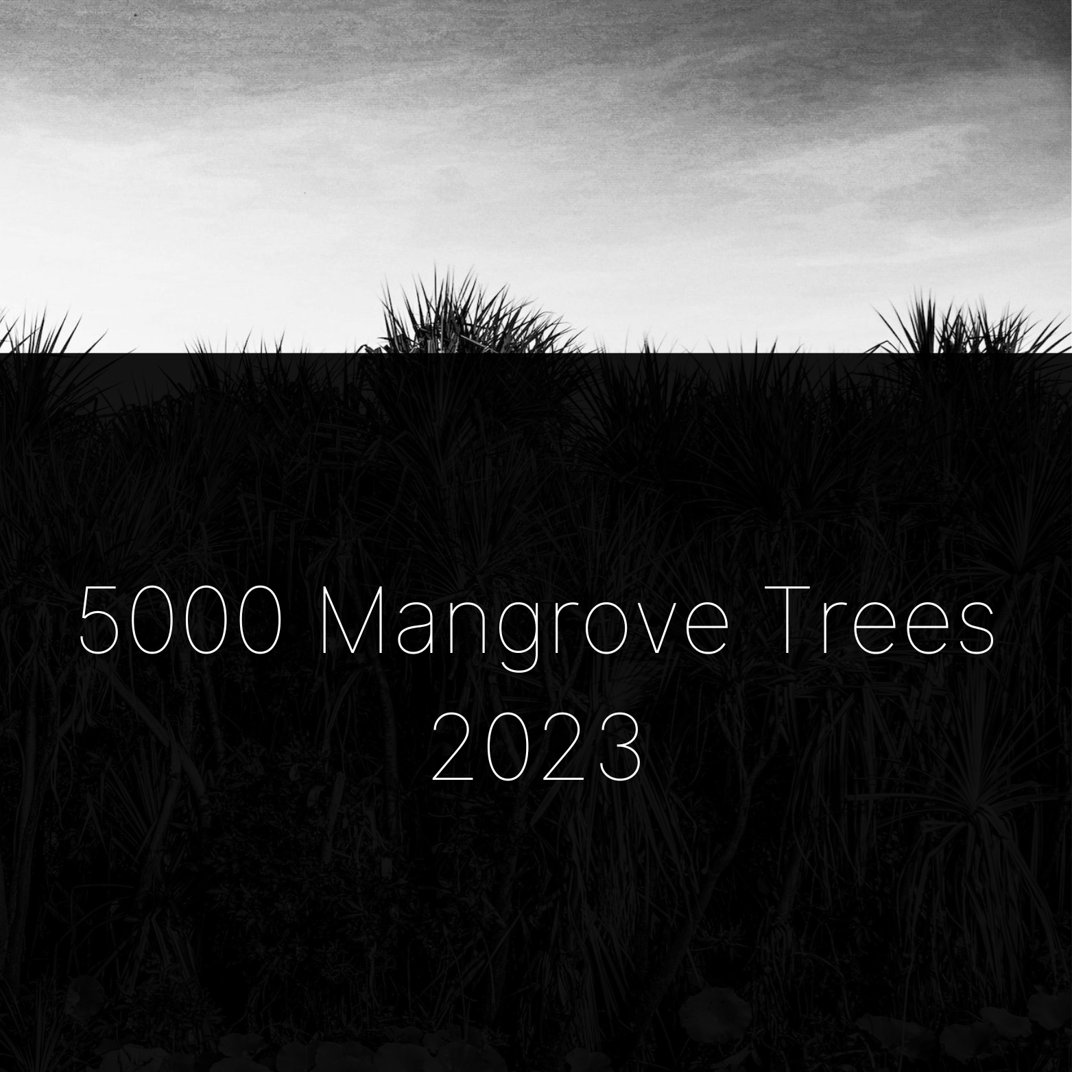 5000 Mangrove Trees banner